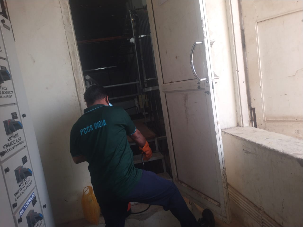 General Pest Inspection