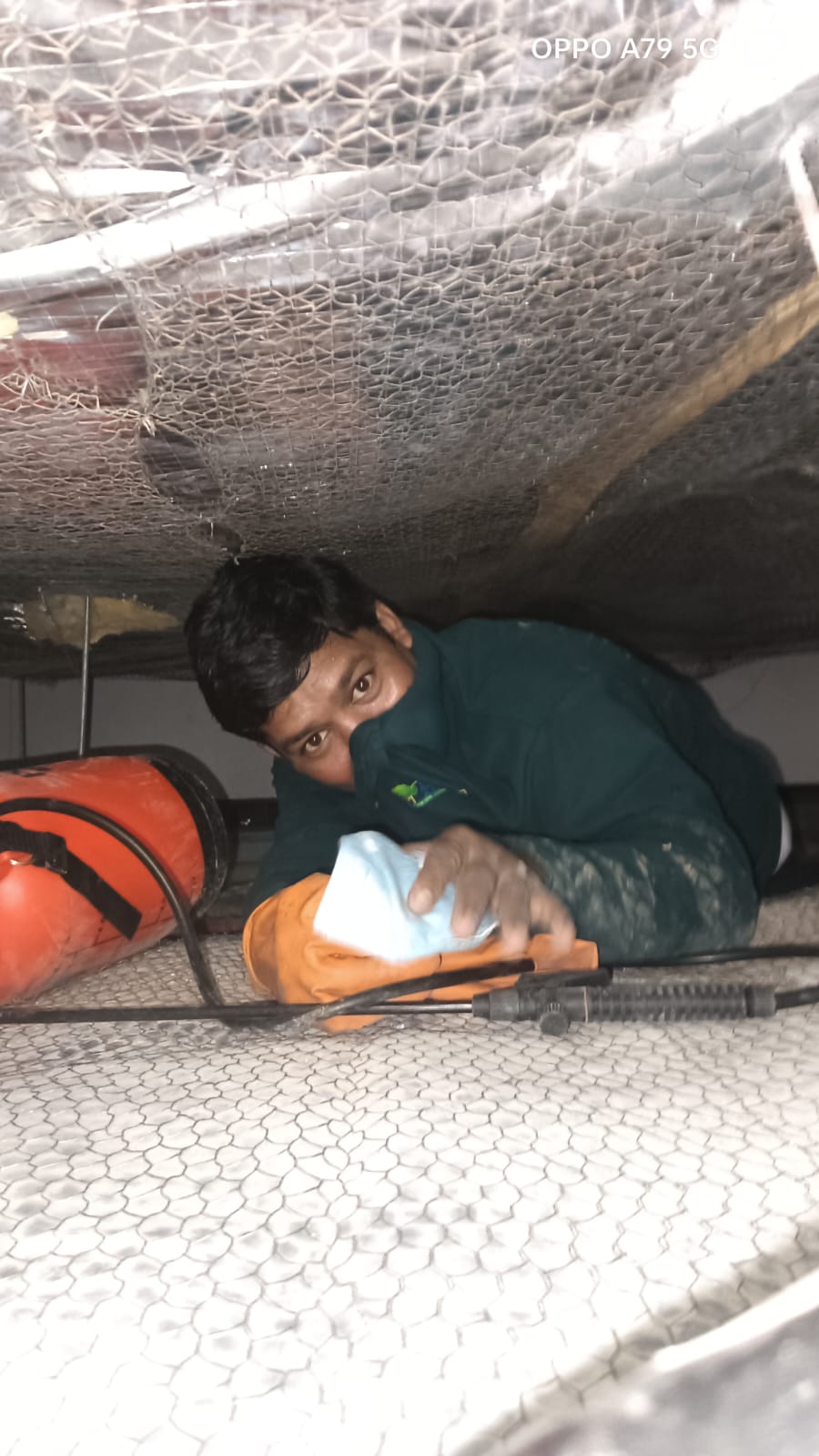 Commercial Pest Control