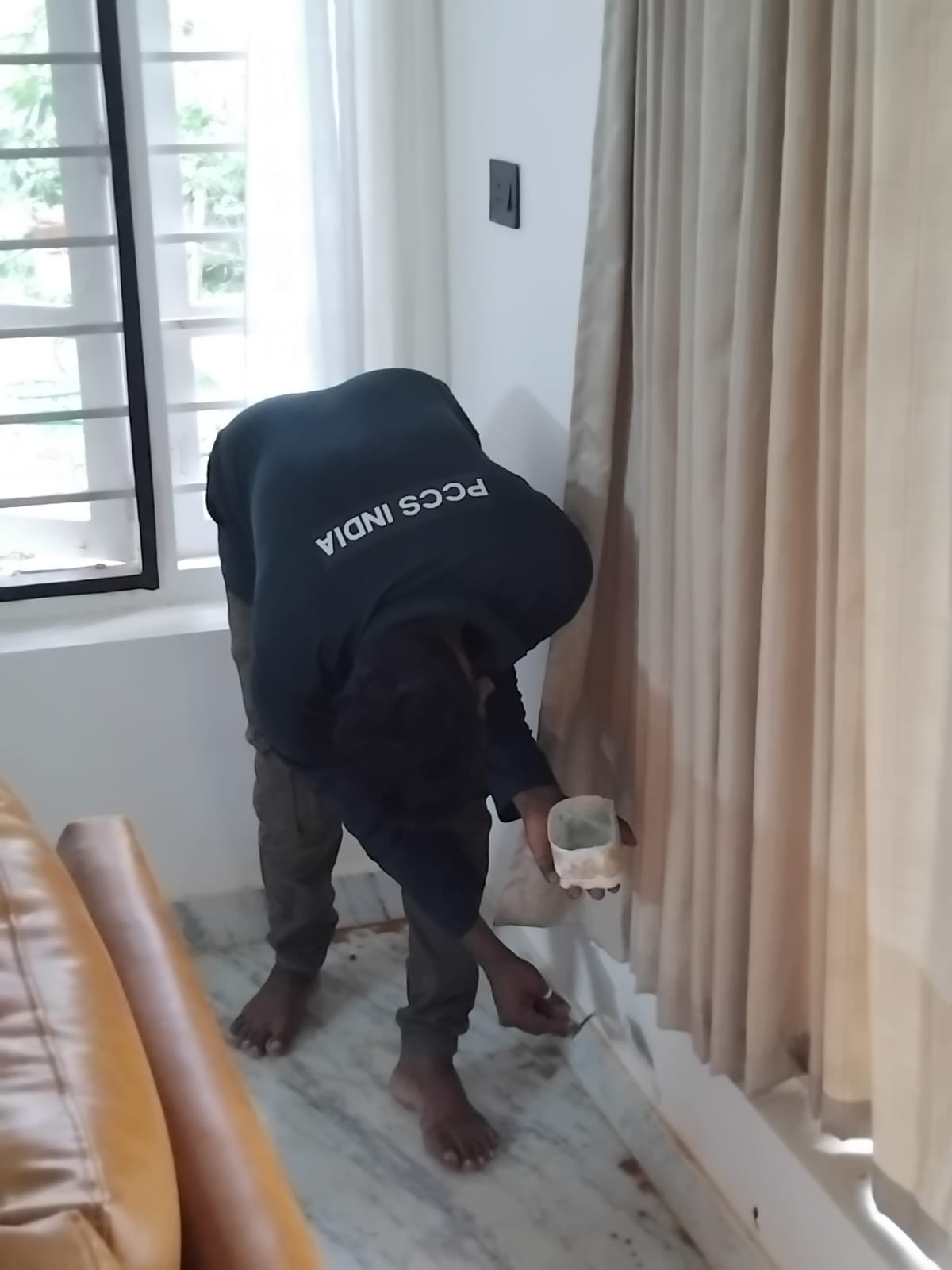 Ant Extermination Experts