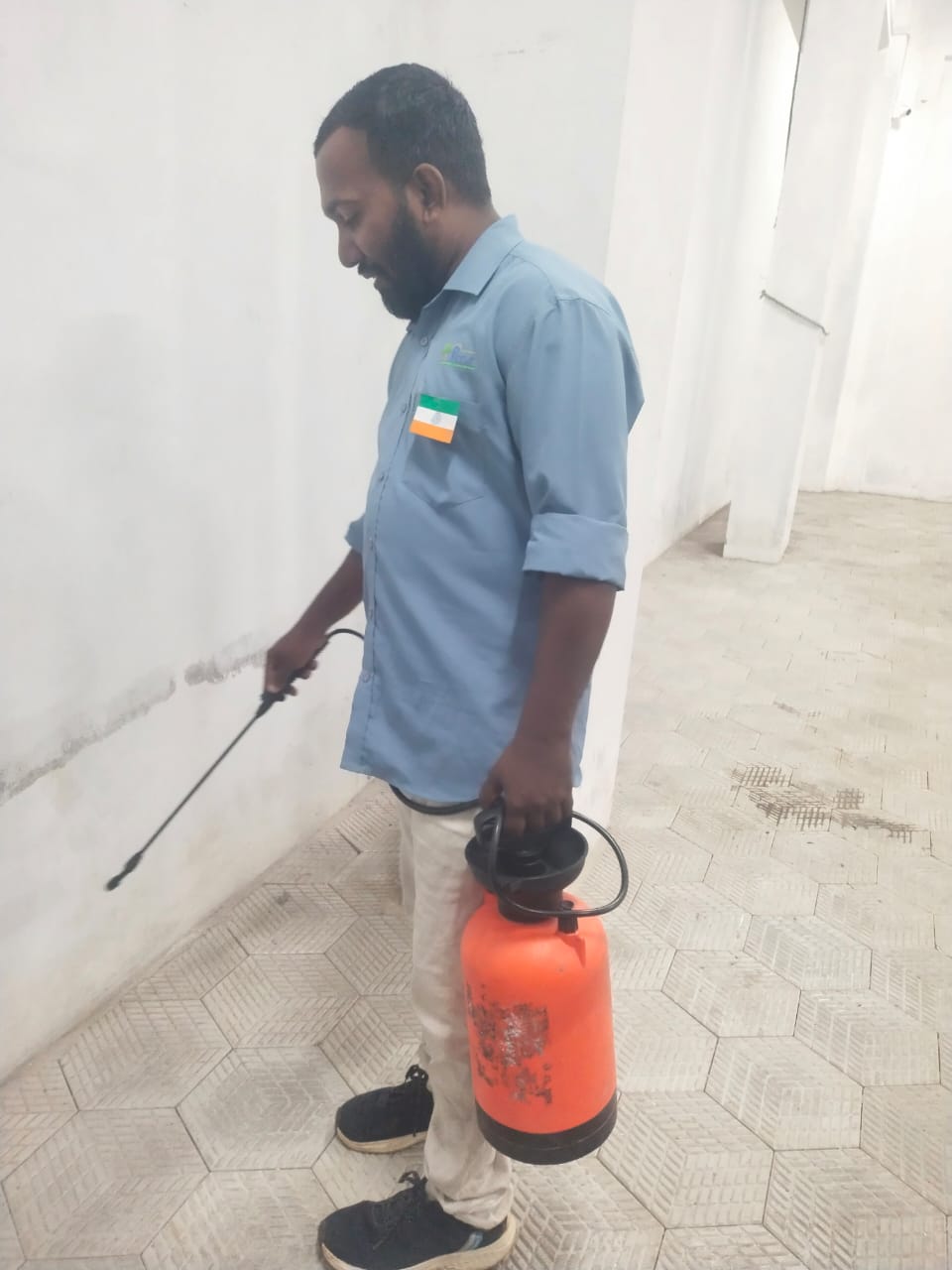 Cockroach Elimination Service