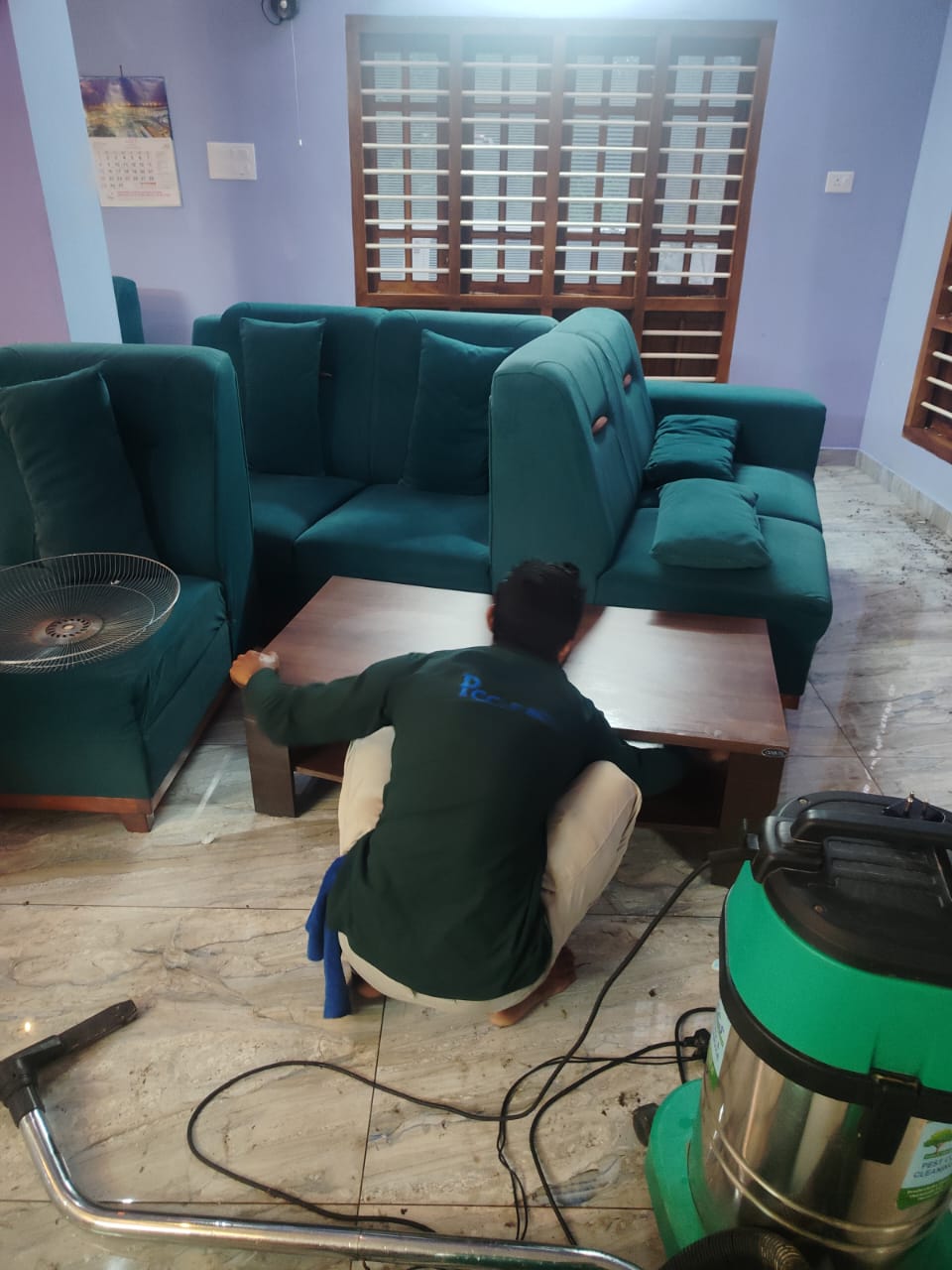 Bed Bug Treatment Service