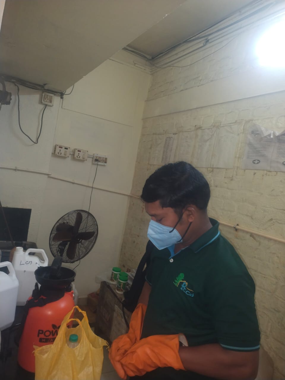 Flea and Mite Control