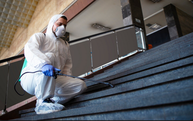 Termite Inspection