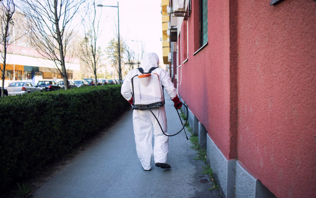 Rodent Control